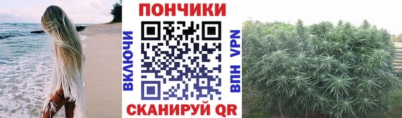 Канабис тримм  Купить где  Курильск 